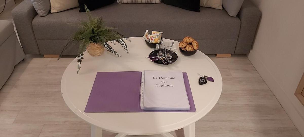 Les Capitouls - Avec Entree Autonome, Clim Neuve, Jardin, Parking Prive & Sa Piscine ! - Appartement Toulouse Buitenkant foto